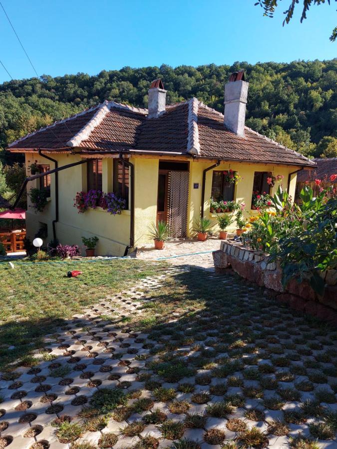 Guest House „Ivanovata House” Yanovets Exterior foto